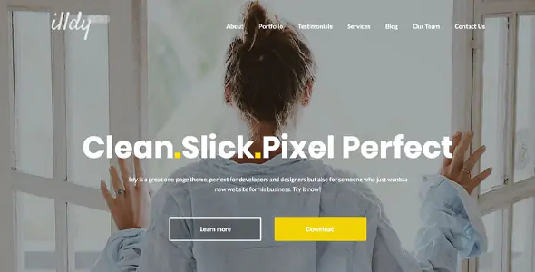 Illdy – One Page WordPress Business Theme